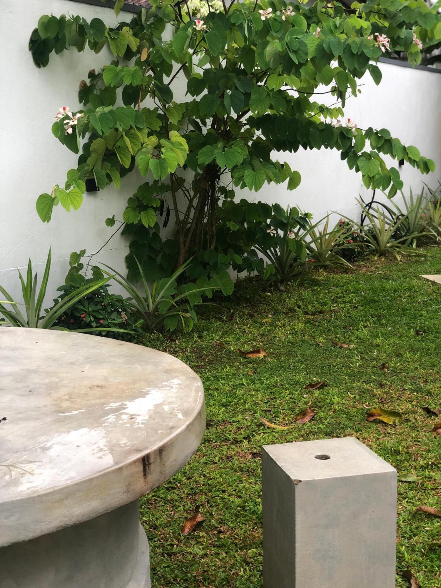 Luvi'S Villa Galle Kültér fotó