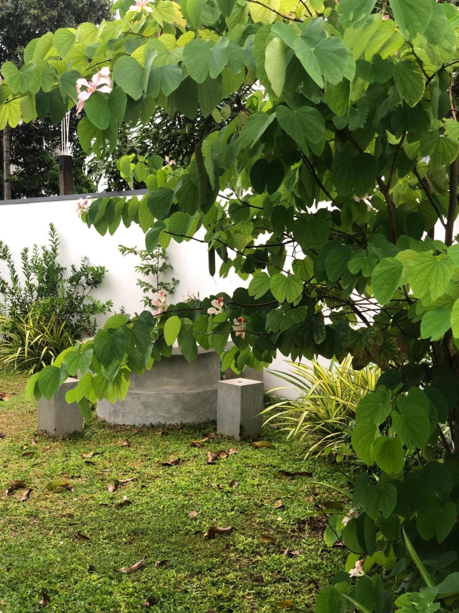 Luvi'S Villa Galle Kültér fotó