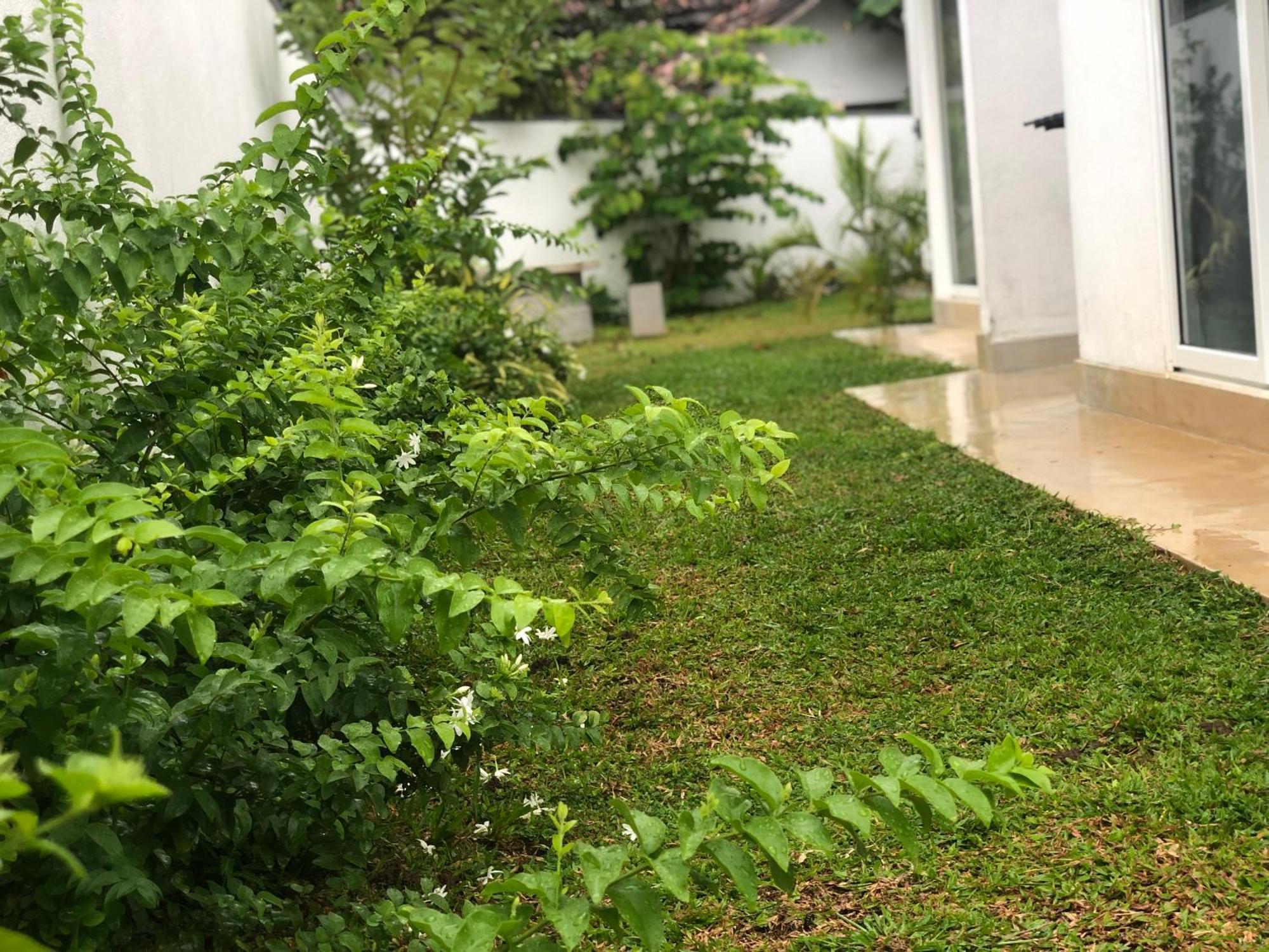 Luvi'S Villa Galle Kültér fotó